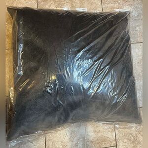 Wayfair 20x20 Indoor Throw Pillow